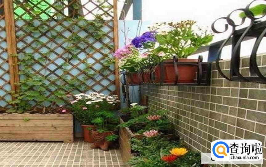 如何在小阳台种植盆栽