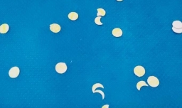 幼儿趣味粘贴画：夜晚的星空