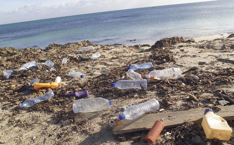 环境污染的毒作用