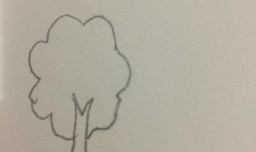 怎么画森林简笔画