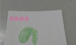 简笔画种子发芽了