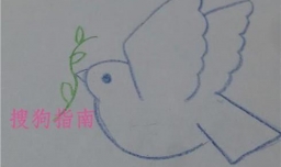 如何画和平鸽简笔画