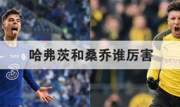 哈弗茨和桑乔谁厉害