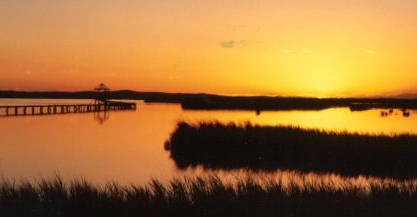 荏苒是什么意思