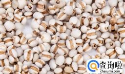 四季该怎么进补