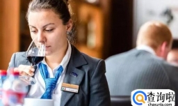 新西兰拥有葡萄酒专业的大学