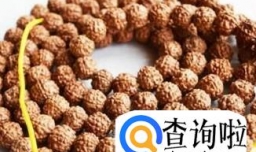 金刚菩提红皮与黄皮区别