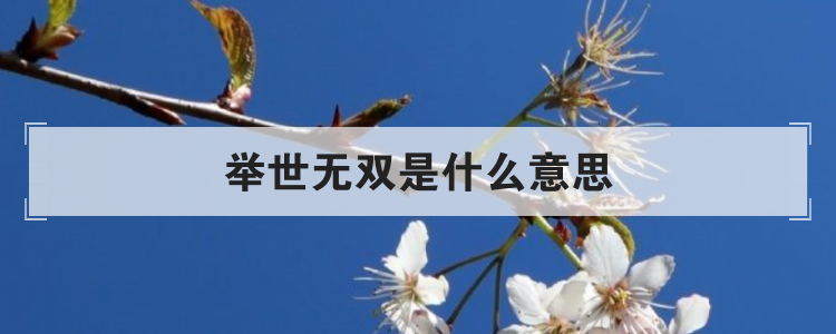 举世无双是什么意思