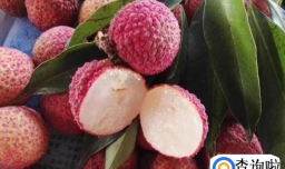 排毒养颜的几种水果