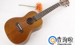 如何选购尤克里里？看完就是专家！