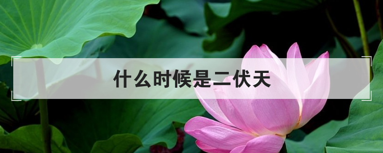 什么时候是二伏天