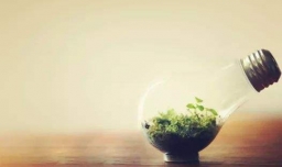 男生追女生不追了，女生会怎么想？