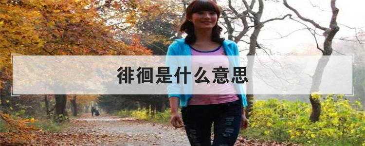 徘徊是什么意思