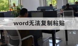 word无法复制粘贴