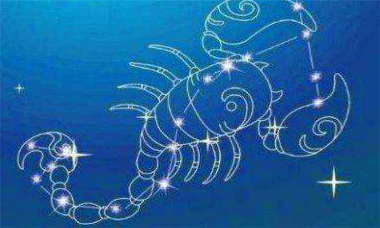 天蝎座和什么星座最配