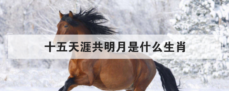 十五天涯共明月是什么生肖