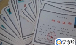 成考和自考的区别