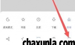 Via如何开启允许调试网页