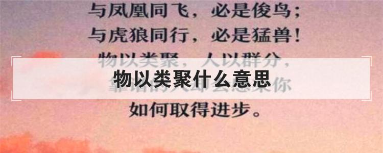 物以类聚什么意思