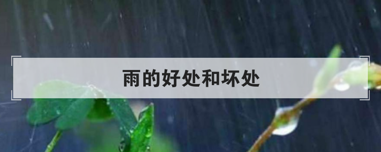雨的好处和坏处