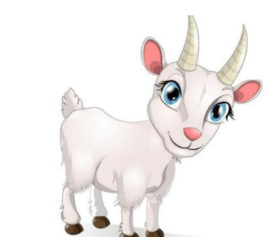 属羊和什么属相最配