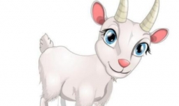 属羊和什么属相最配