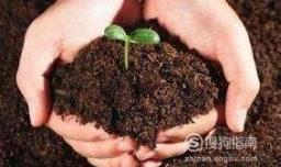 多肉植物的土壤配方