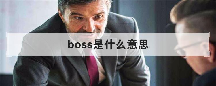 boss是什么意思
