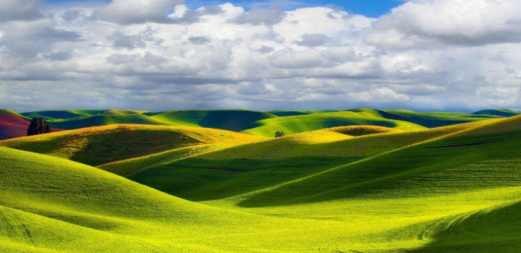 心旷神怡什么意思