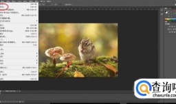 ps矩形选取工具如何使用？