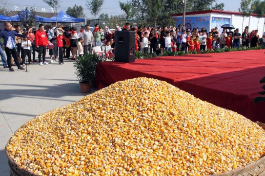 添仓节是哪个民族的节日