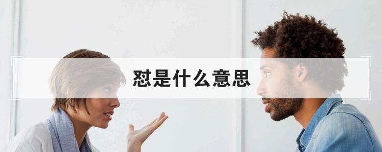 怼是什么意思