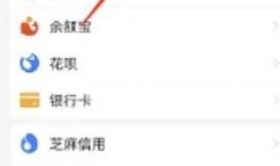 支付宝怎么查看分类账单