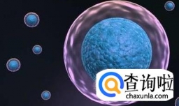 什么是干细胞？干细包是干什么的？
