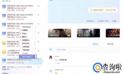 如何解决应版权方要求文件无法下载