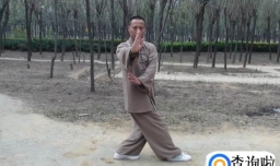 为什么练八卦掌的人少