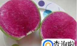 萝卜咸菜的做法大全