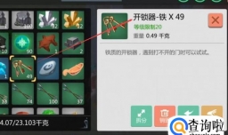 创造与魔法游戏中,如何抄家与防抄家的技巧