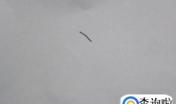 初字的笔顺和易错点