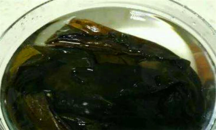 海带丝泡水多长时间好