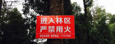 森林防火标语有哪些