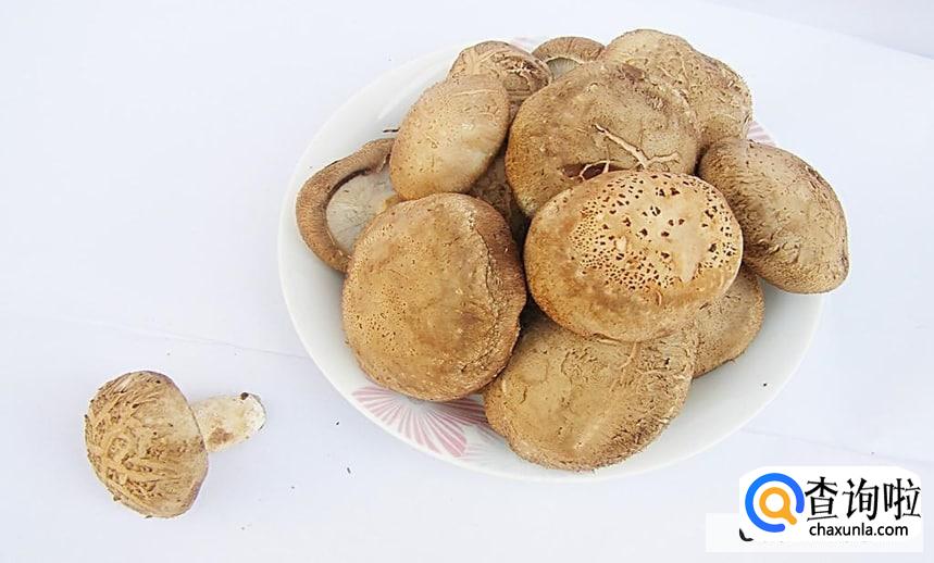 手术后能吃香菇吗