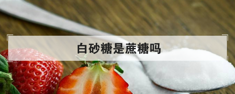 白砂糖是蔗糖吗