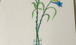 如何绘制一束插在瓶子里的花？