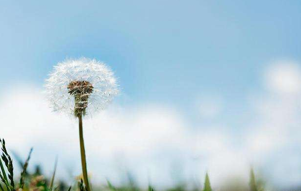 身心健康的8个标准