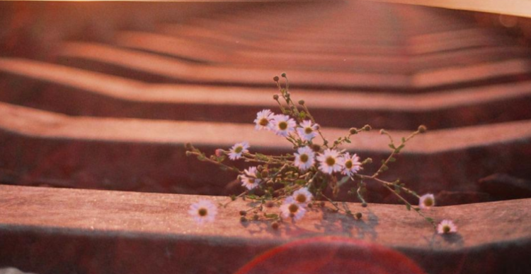 恍恍惚惚的意思是什么