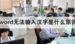 word无法输入汉字是什么原因