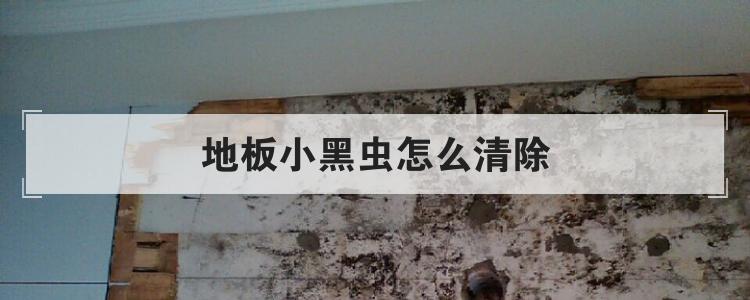 地板小黑虫怎么清除
