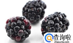 鲜桑葚怎么保存