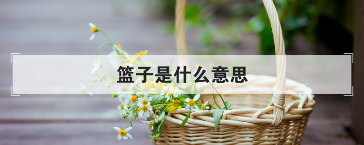 篮子是什么意思